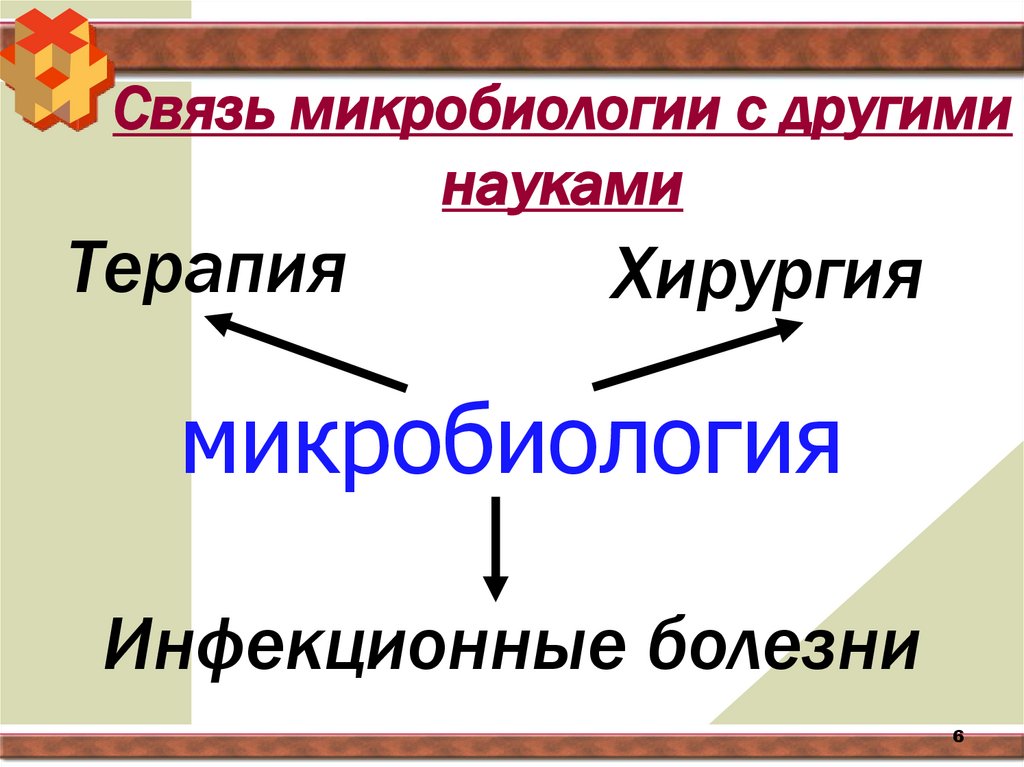 Связь микробиологии с другими науками
