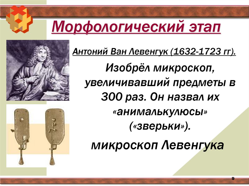 Морфологический этап