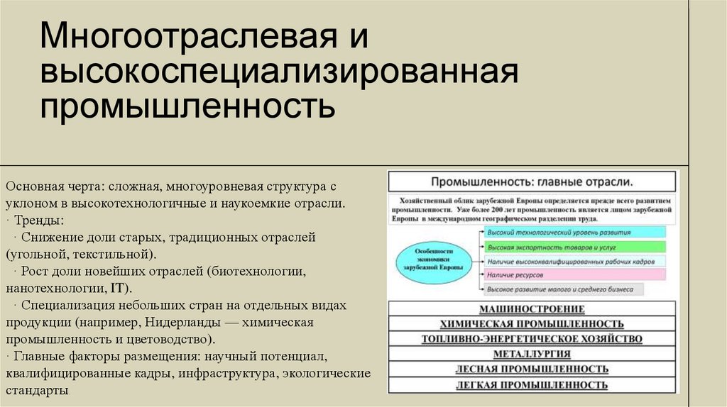 Многоотраслевая и высокоспециализированная промышленность
