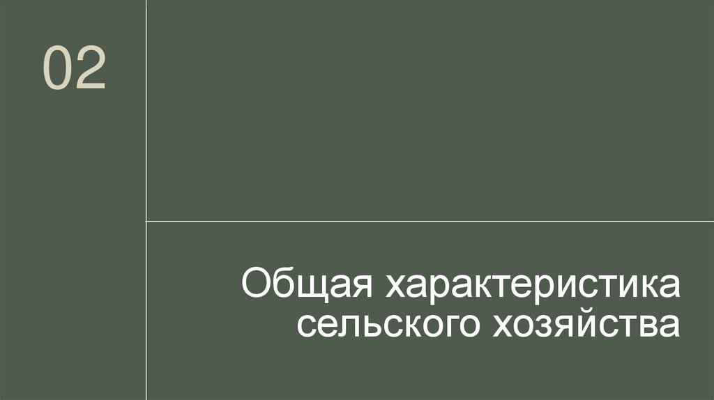 Общая характеристика сельского хозяйства