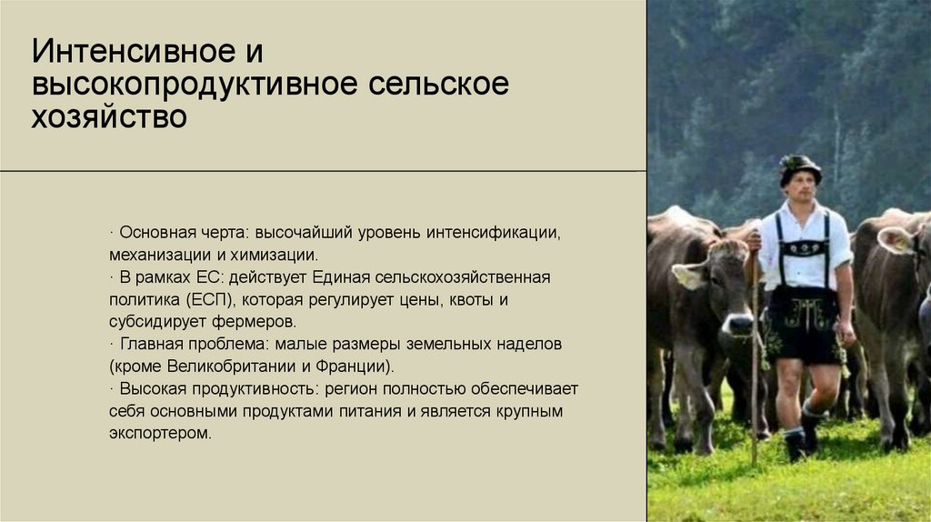 Интенсивное и высокопродуктивное сельское хозяйство