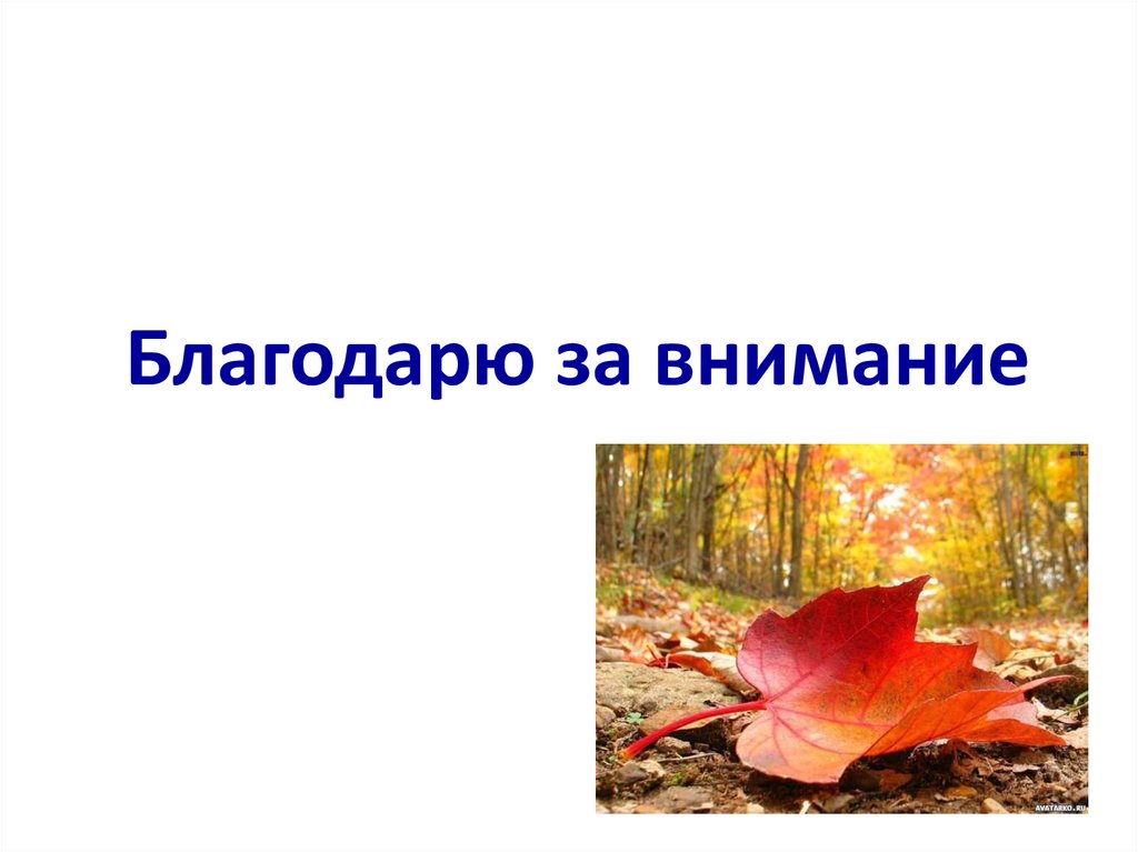 Благодарю за внимание