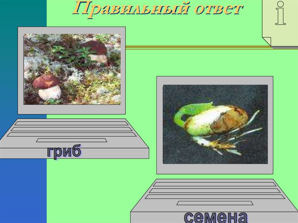 Правильный ответ