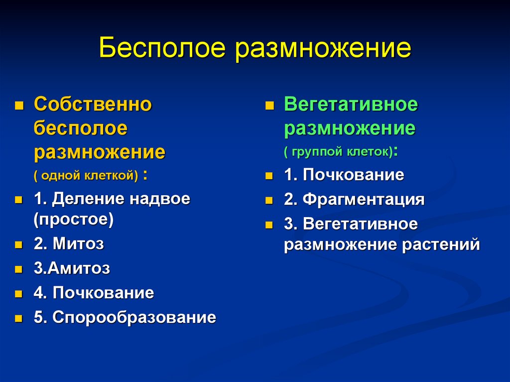 Бесполое размножение