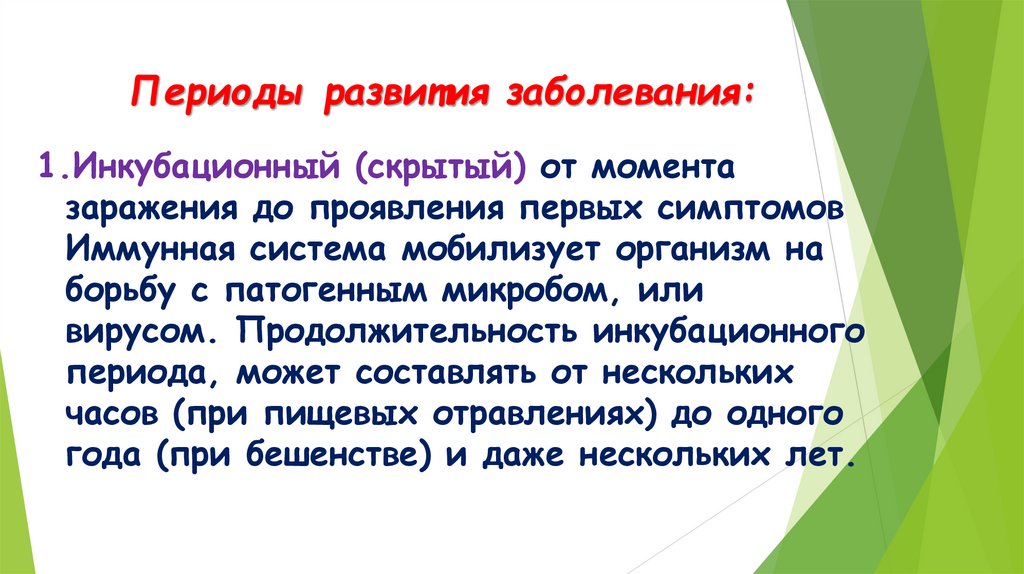 Периоды развития заболевания: