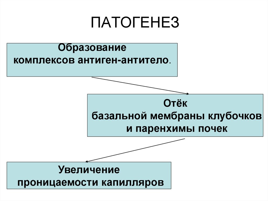 ПАТОГЕНЕЗ