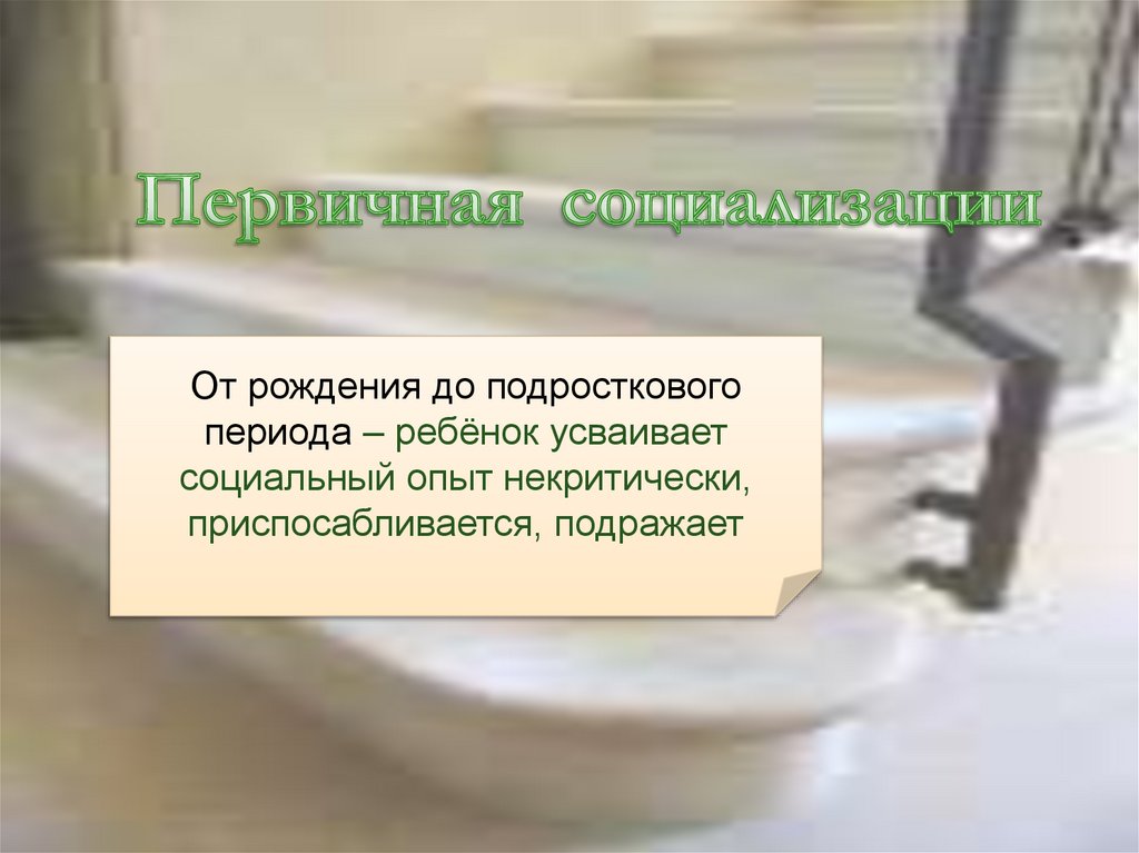 Первичная социализации