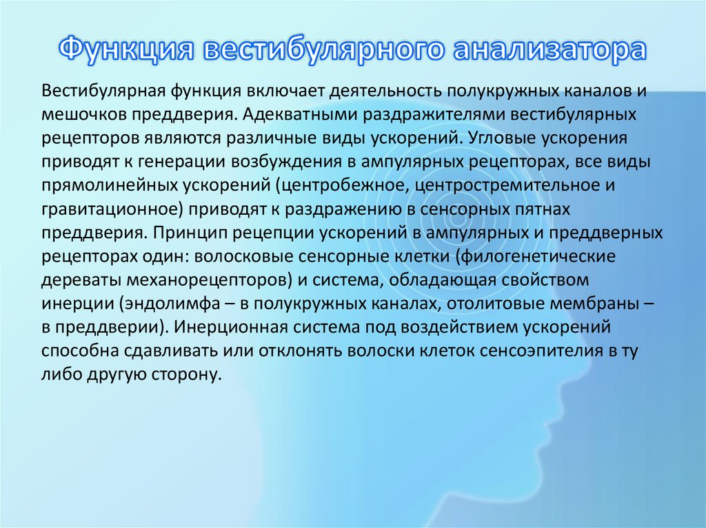 Функция вестибулярного анализатора