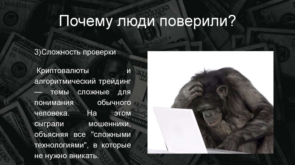 Почему люди поверили?