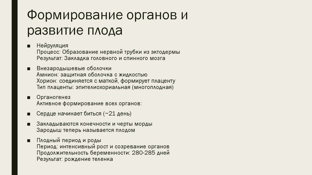 Формирование органов и развитие плода