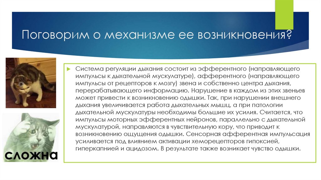 Поговорим о механизме ее возникновения?