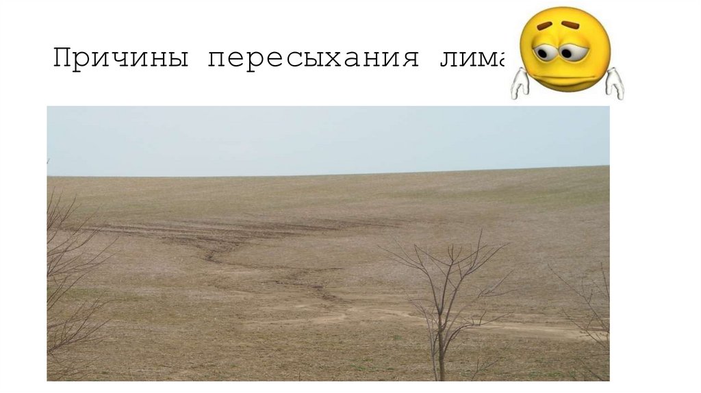 Причины пересыхания лиманов
