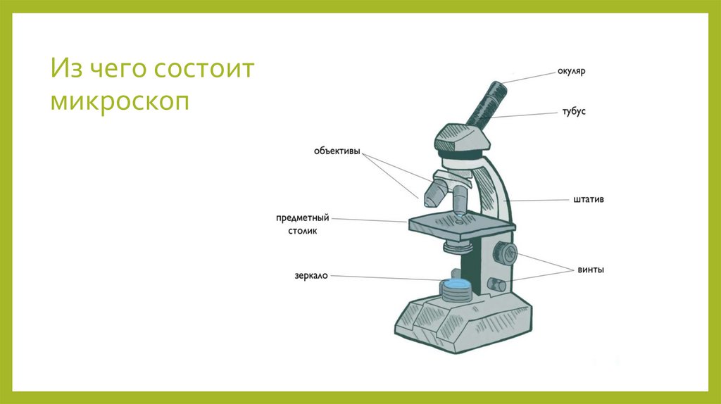 Из чего состоит микроскоп
