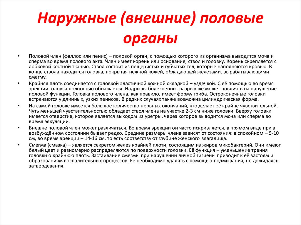 Наружные (внешние) половые органы