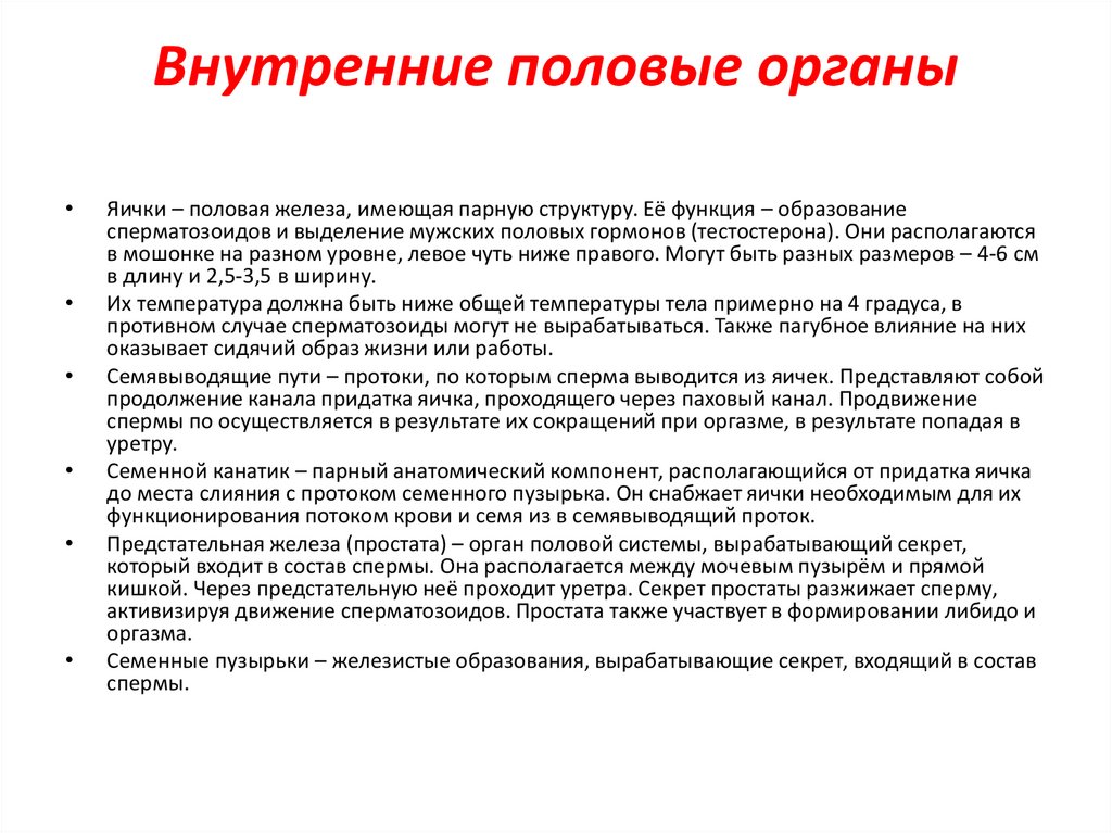 Внутренние половые органы