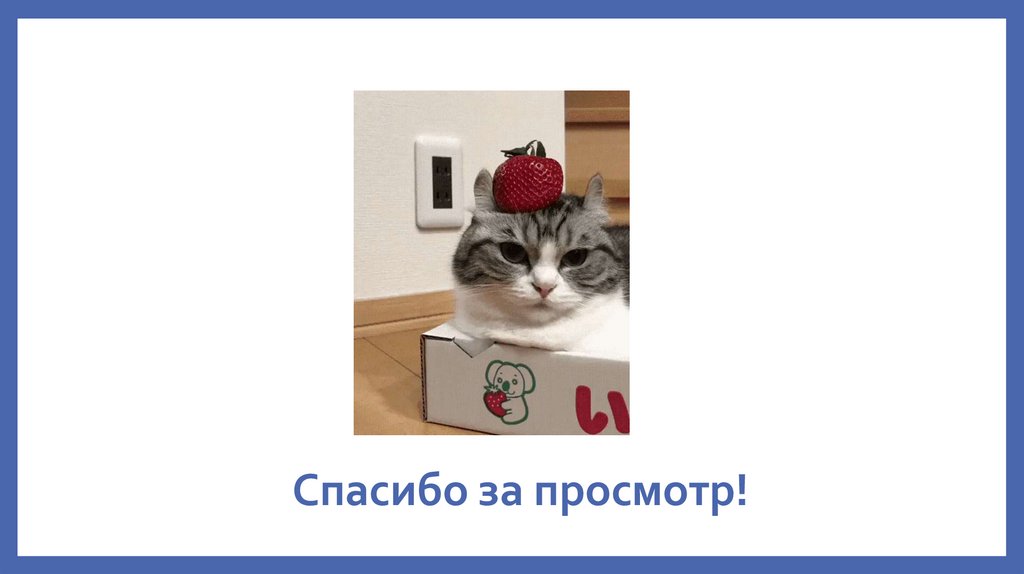 Спасибо за просмотр!