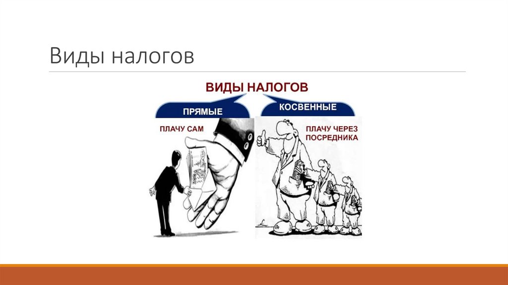 Виды налогов