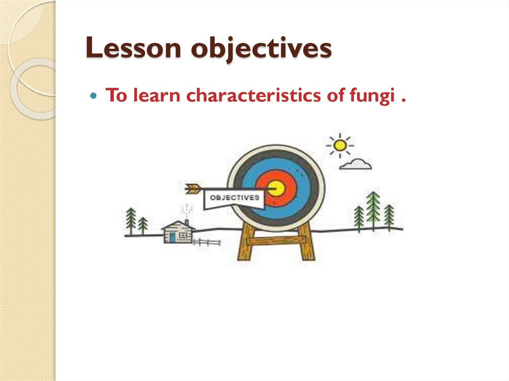 Lesson objectives