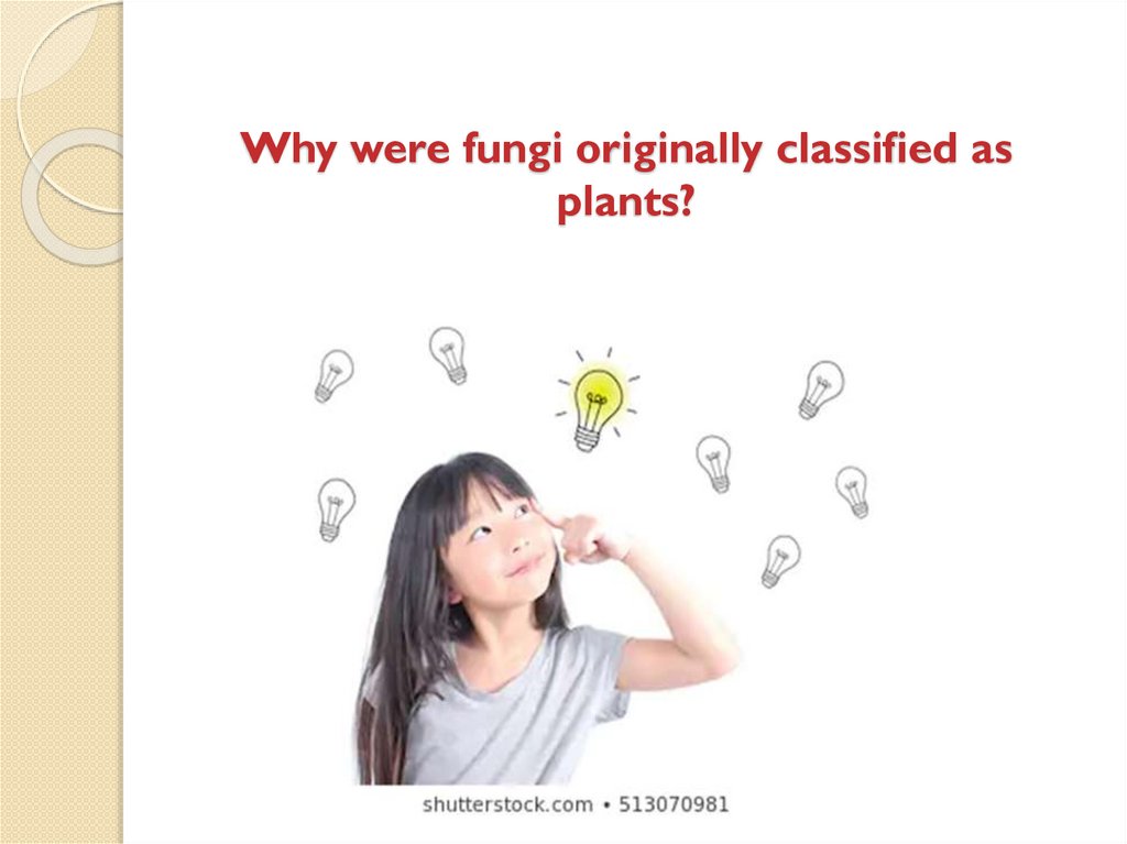Why were fungi originally classified as plants?
