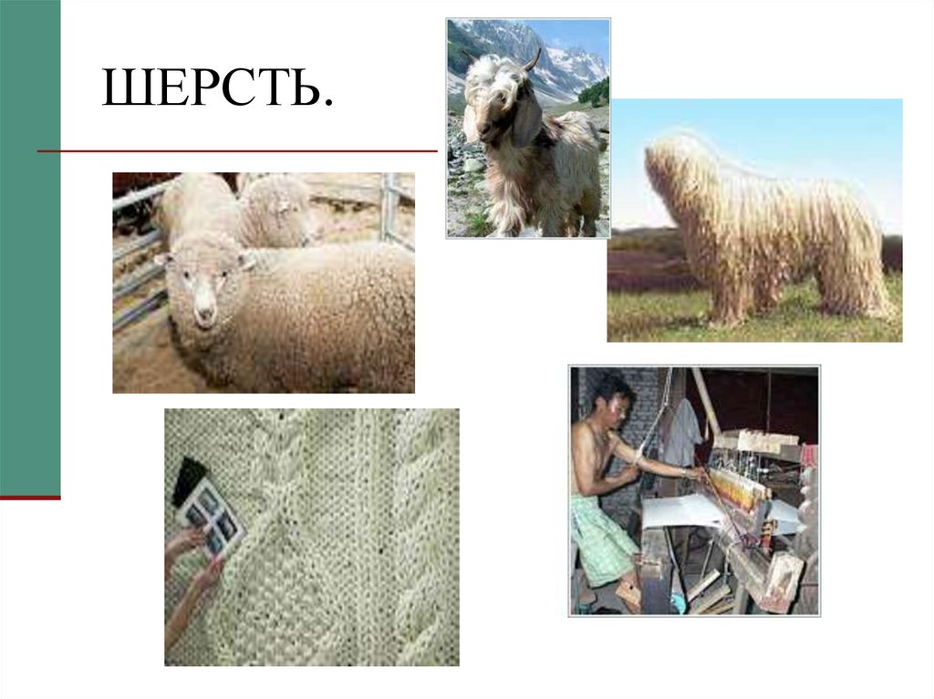 КЛАССИФИКАЦИЯ ВОЛОКОН