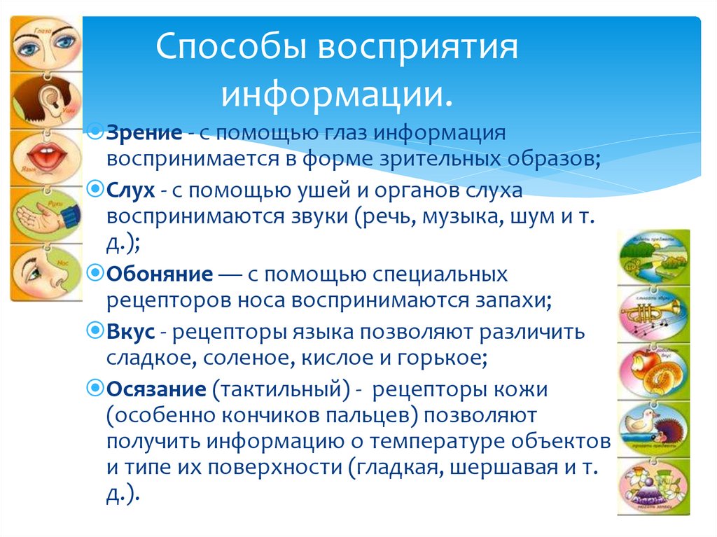Способы восприятия информации.