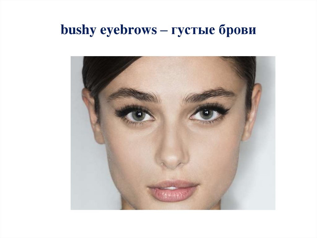 bushy eyebrows – густые брови