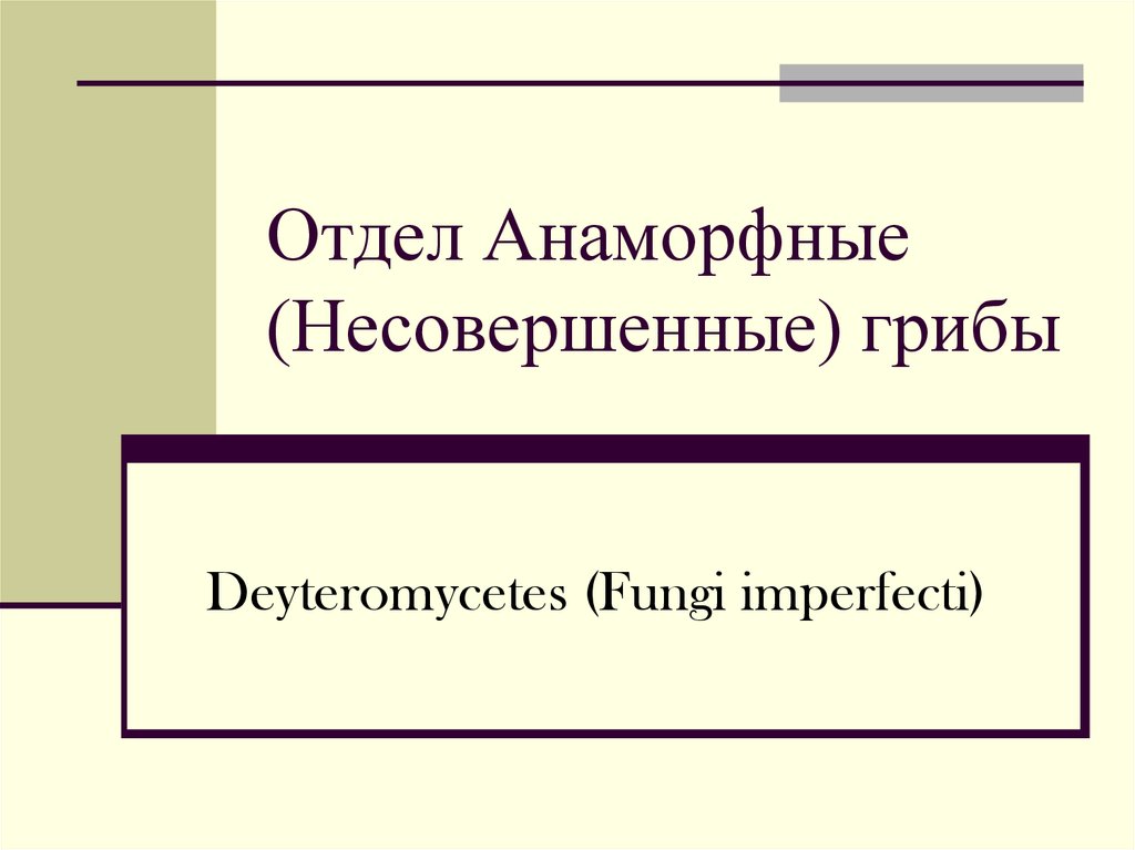 Отдел Анаморфные (Несовершенные) грибы