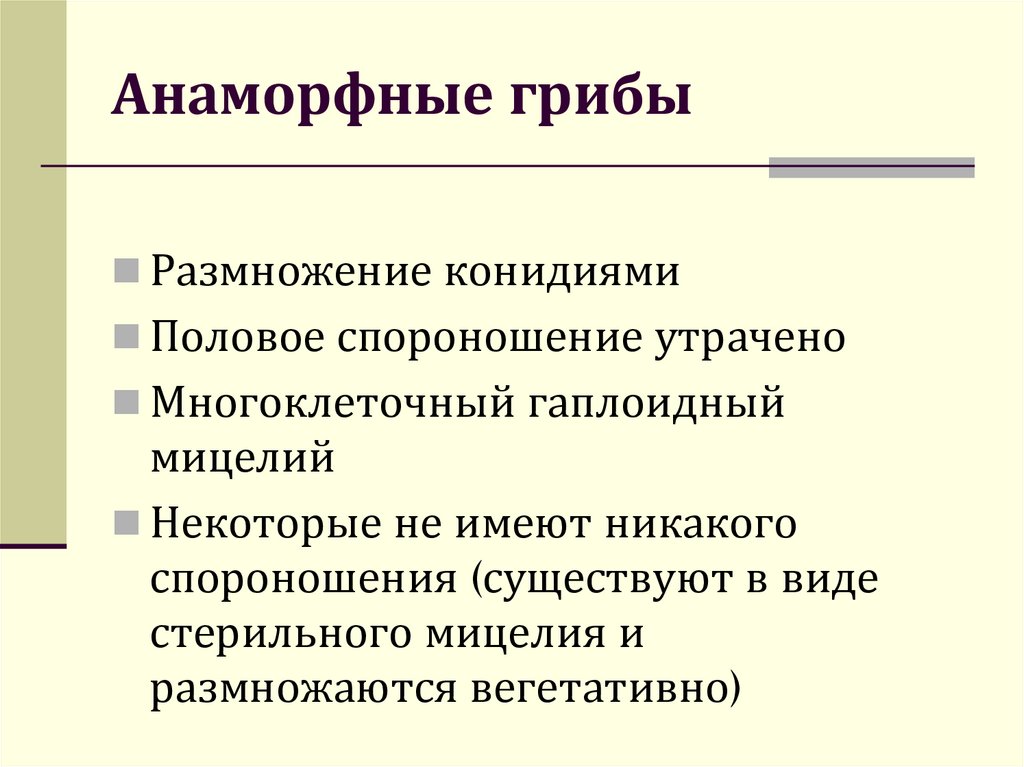 Анаморфные грибы