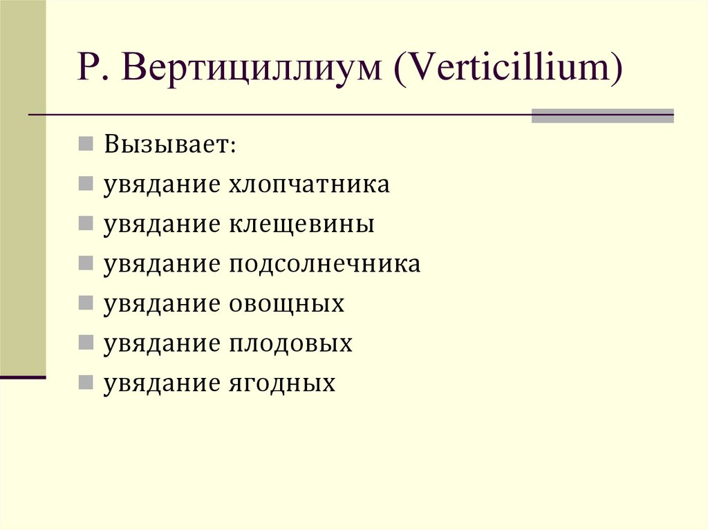 Р. Вертициллиум (Verticillium)