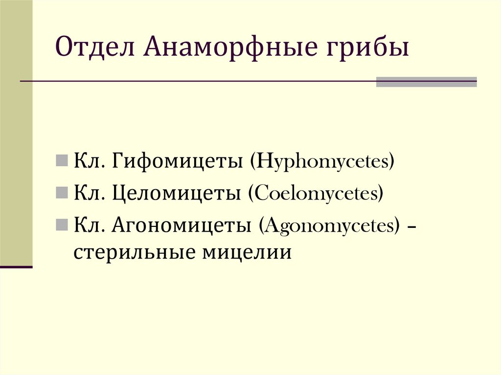 Отдел Анаморфные грибы