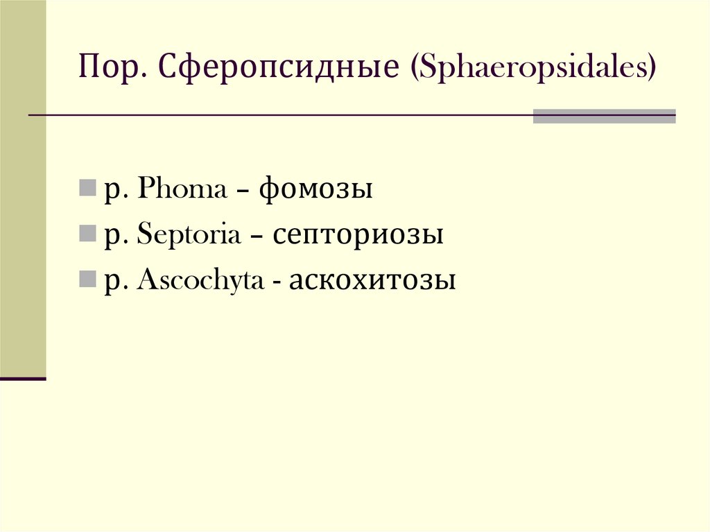 Пор. Сферопсидные (Sphaeropsidales)