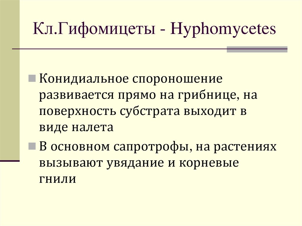 Кл.Гифомицеты - Hyphomycetes