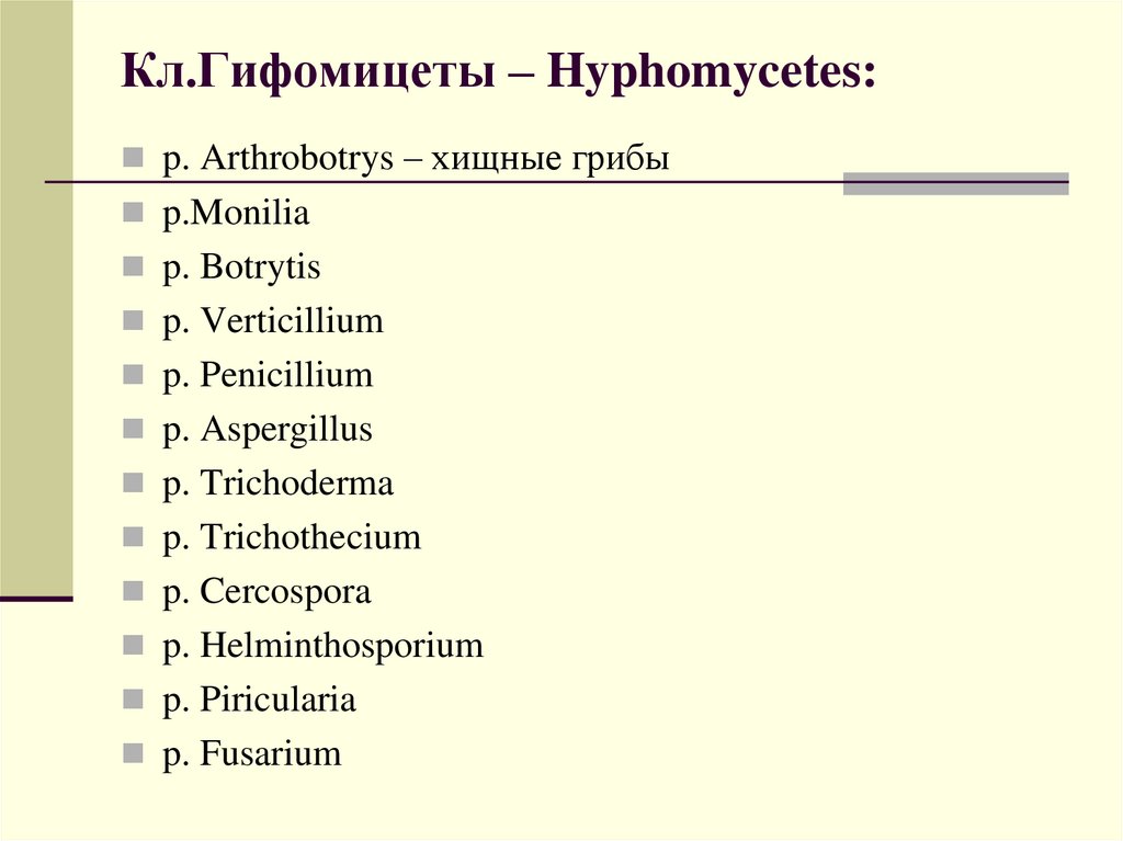 Кл.Гифомицеты – Hyphomycetes: