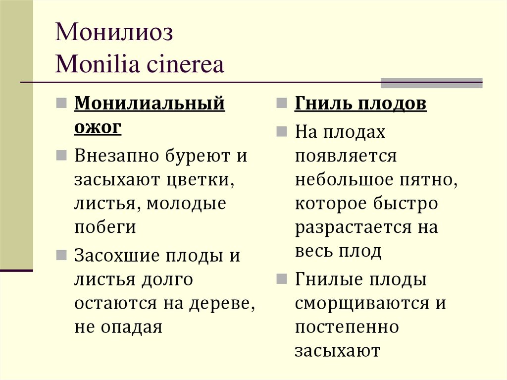 Монилиоз Monilia cinerea