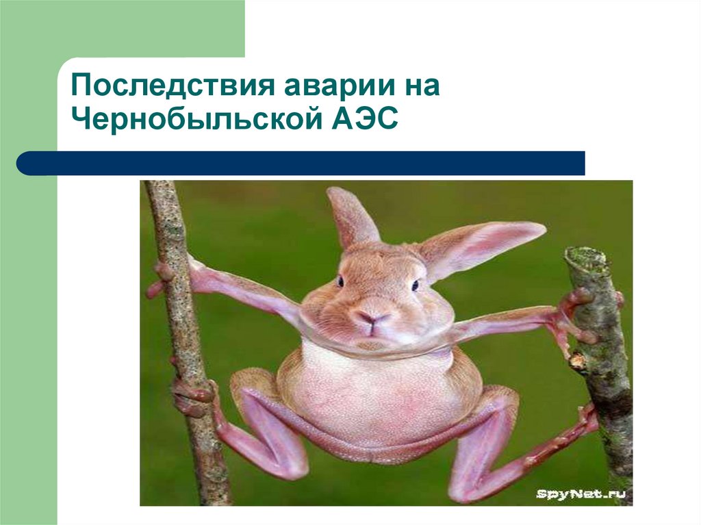 Последствия аварии на Чернобыльской АЭС