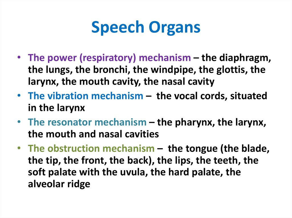 Speech Organs