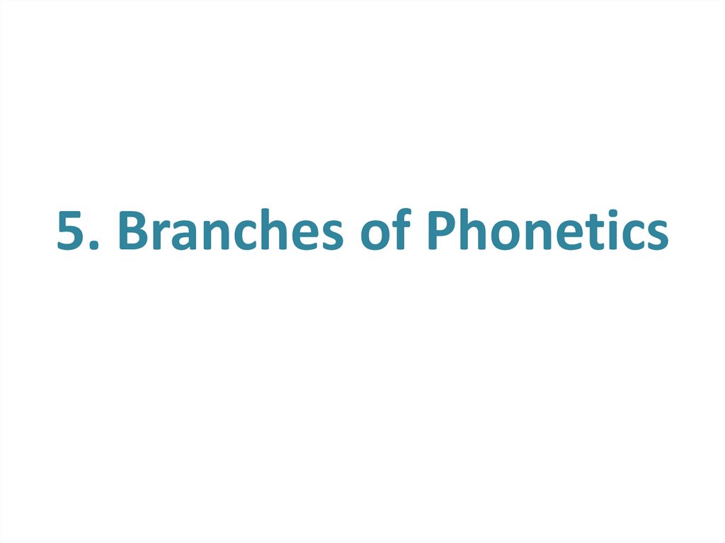 5. Branches of Phonetics