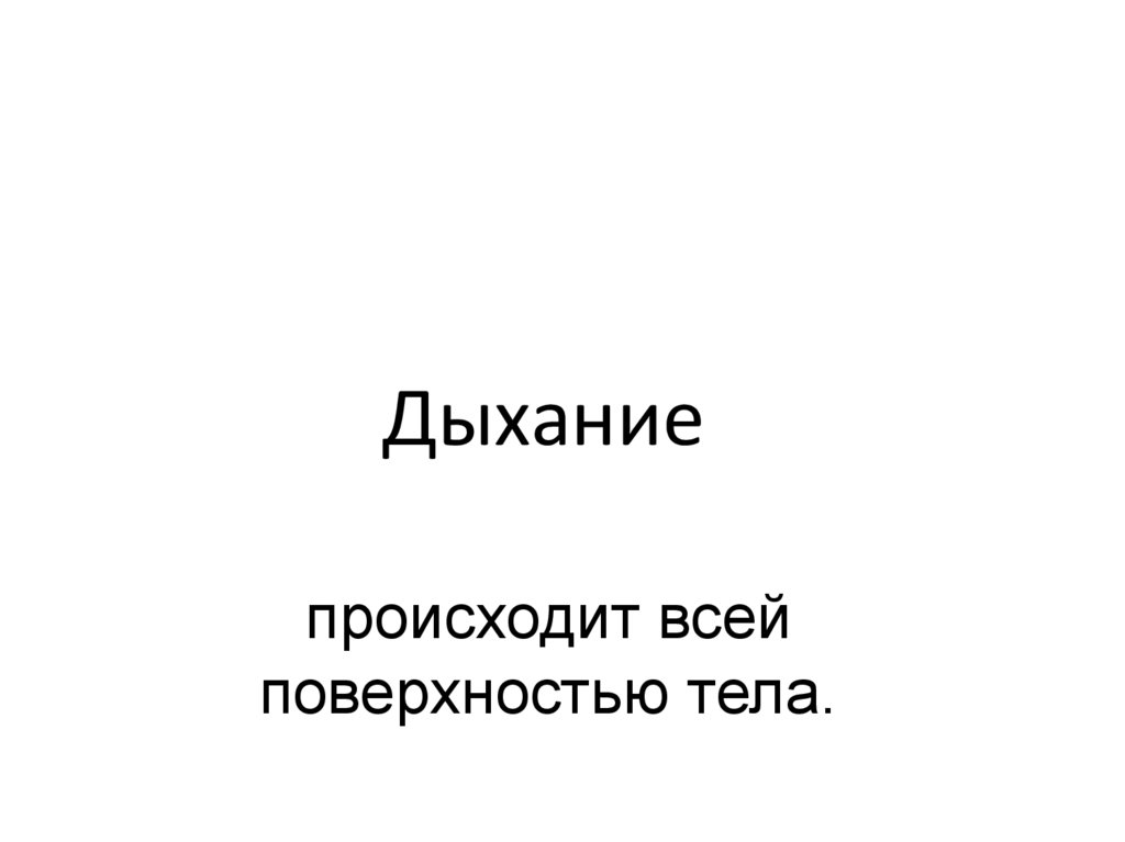 Дыхание