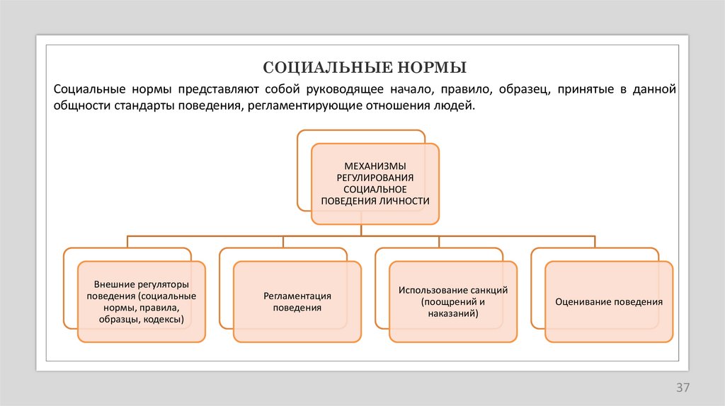 СОЦИАЛЬНЫЕ НОРМЫ