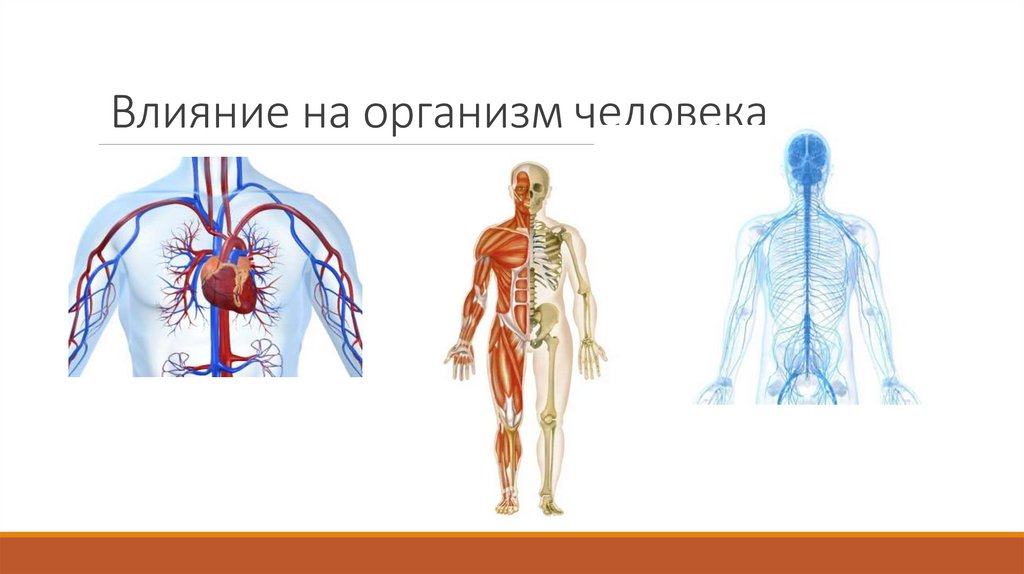 Влияние на организм человека