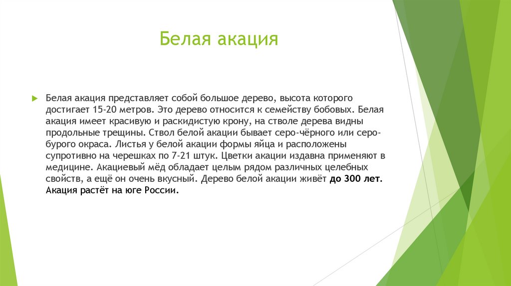 Белая акация