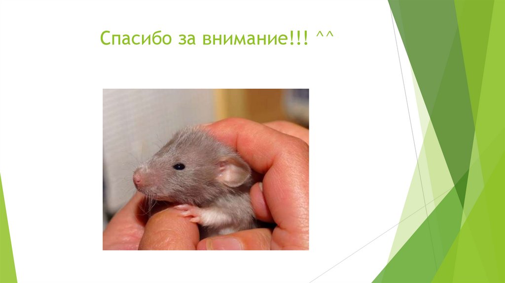 Спасибо за внимание!!! ^^