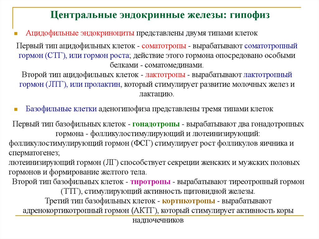 Центральные эндокринные железы: гипофиз