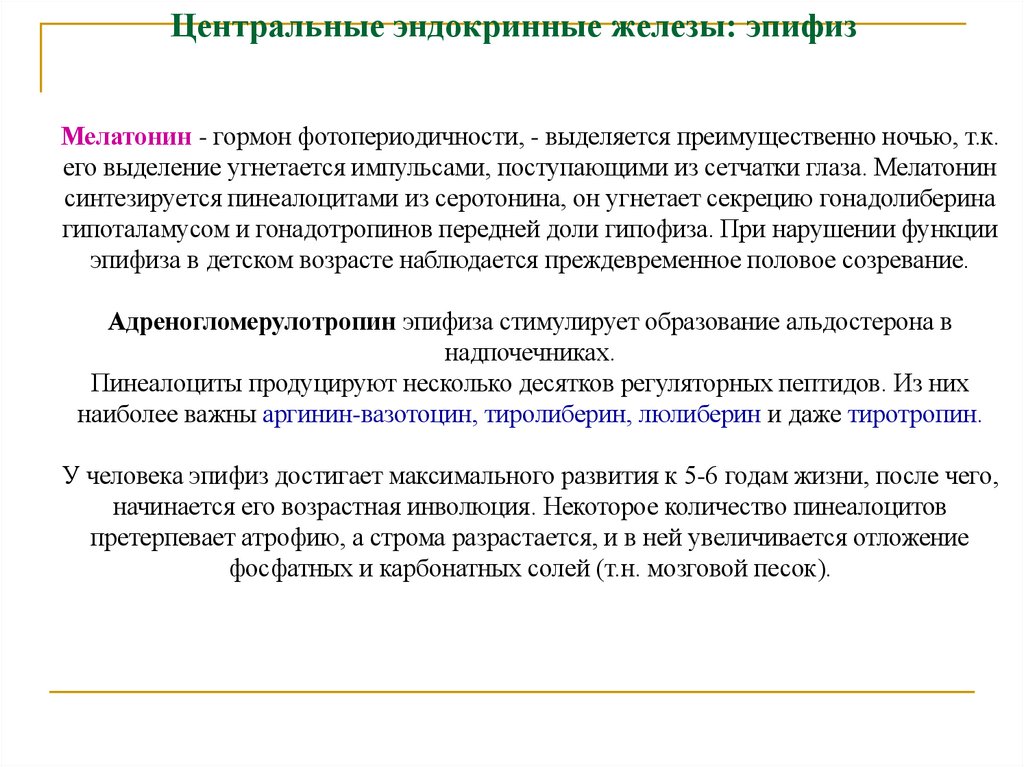 Центральные эндокринные железы: эпифиз