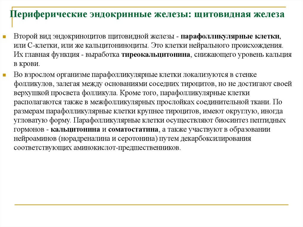 Периферические эндокринные железы: щитовидная железа