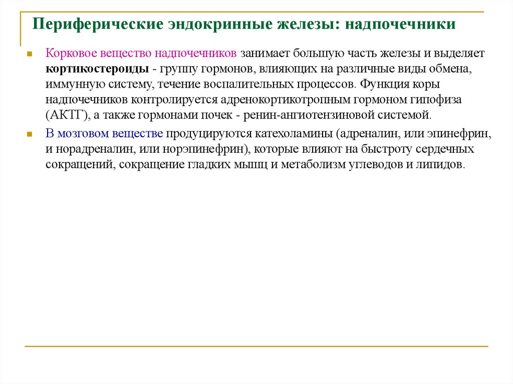 Периферические эндокринные железы: надпочечники