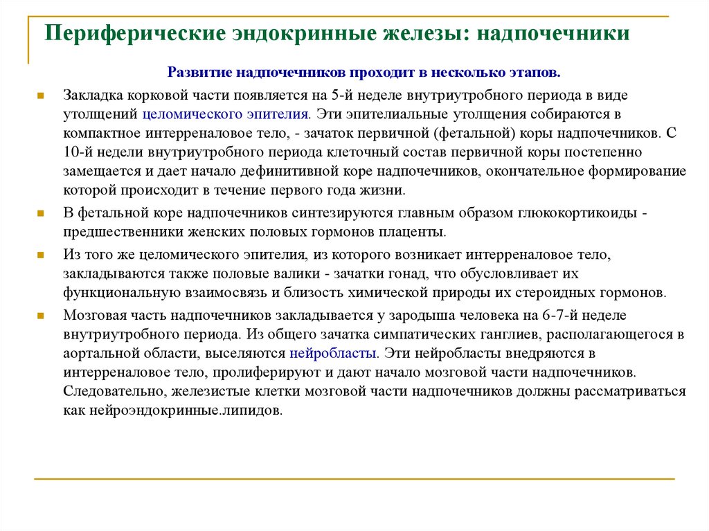 Периферические эндокринные железы: надпочечники