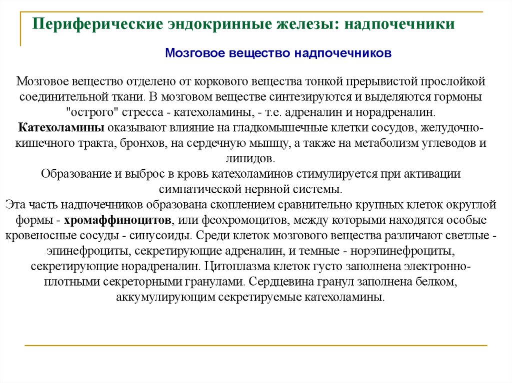 Периферические эндокринные железы: надпочечники