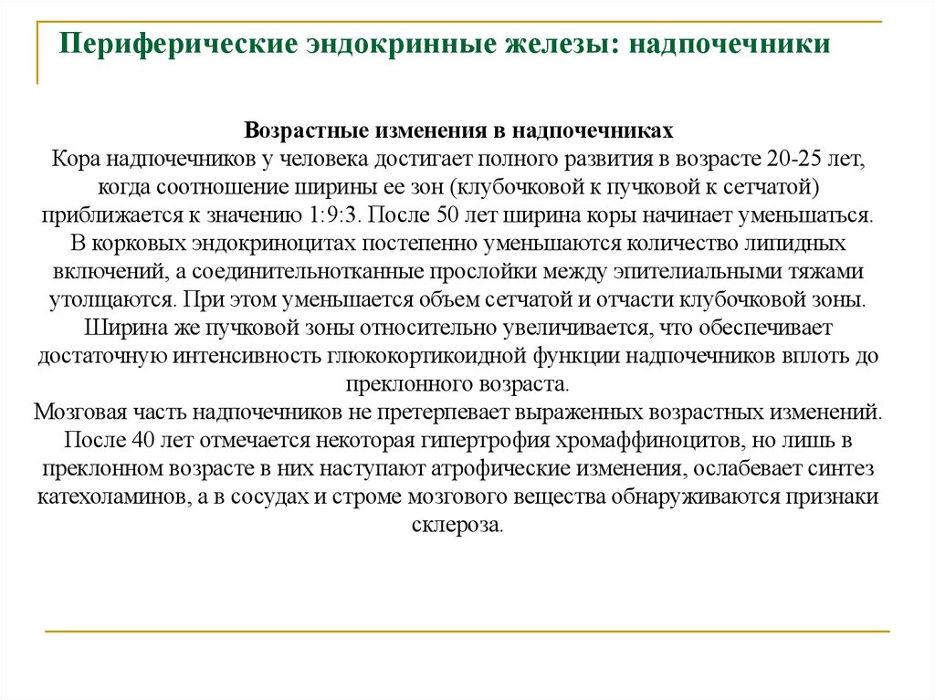 Периферические эндокринные железы: надпочечники