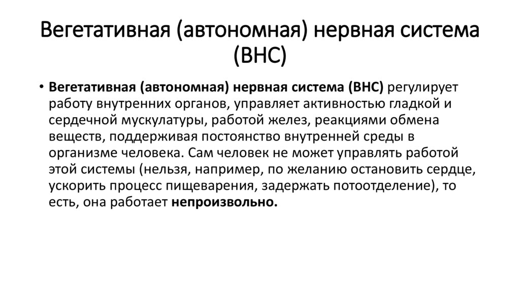 Вегетативная (автономная) нервная система (ВНС)